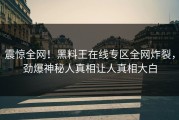 震惊全网！黑料王在线专区全网炸裂，劲爆神秘人真相让人真相大白
