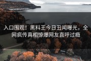入口围观！黑料王今日丑闻曝光，全网疯传真相惊爆网友直呼过瘾
