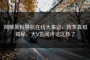 网曝黑料导航在线大事记，独家真相揭秘，大V丑闻评论区炸了