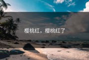 樱桃红，樱桃红了