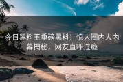 今日黑料王重磅黑料！惊人圈内人内幕揭秘，网友直呼过瘾