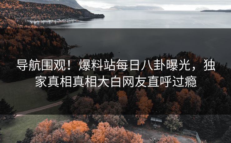 导航围观！爆料站每日八卦曝光，独家真相真相大白网友直呼过瘾