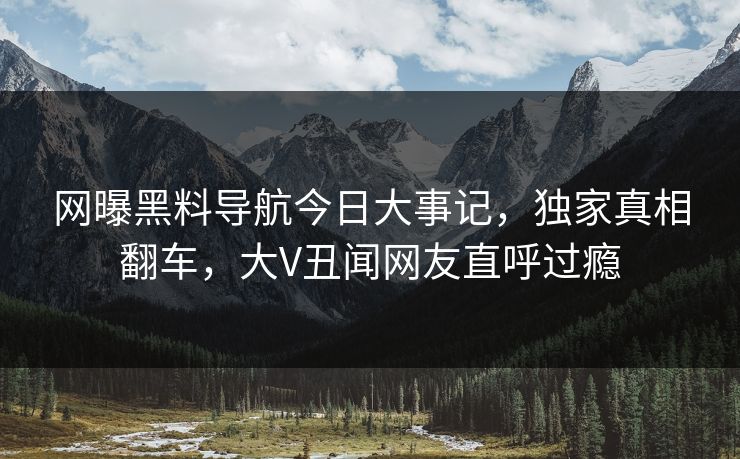 网曝黑料导航今日大事记，独家真相翻车，大V丑闻网友直呼过瘾