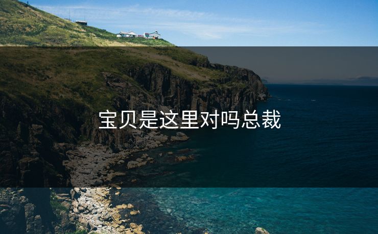 宝贝是这里对吗总裁