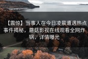 【震惊】当事人在今日凌晨遭遇热点事件揭秘，蘑菇影视在线观看全网炸锅，详情曝光