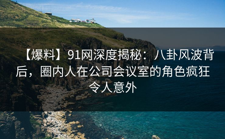 【爆料】91网深度揭秘：八卦风波背后，圈内人在公司会议室的角色疯狂令人意外