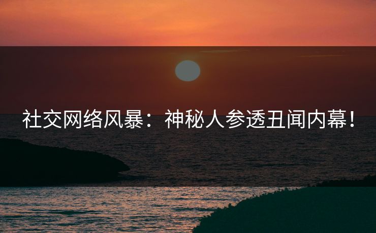 社交网络风暴：神秘人参透丑闻内幕！
